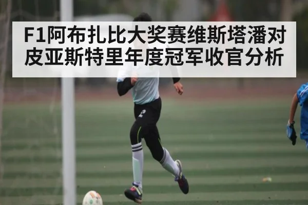 F1阿布扎比大奖赛维斯塔潘对皮亚斯特里年度冠军收官分析